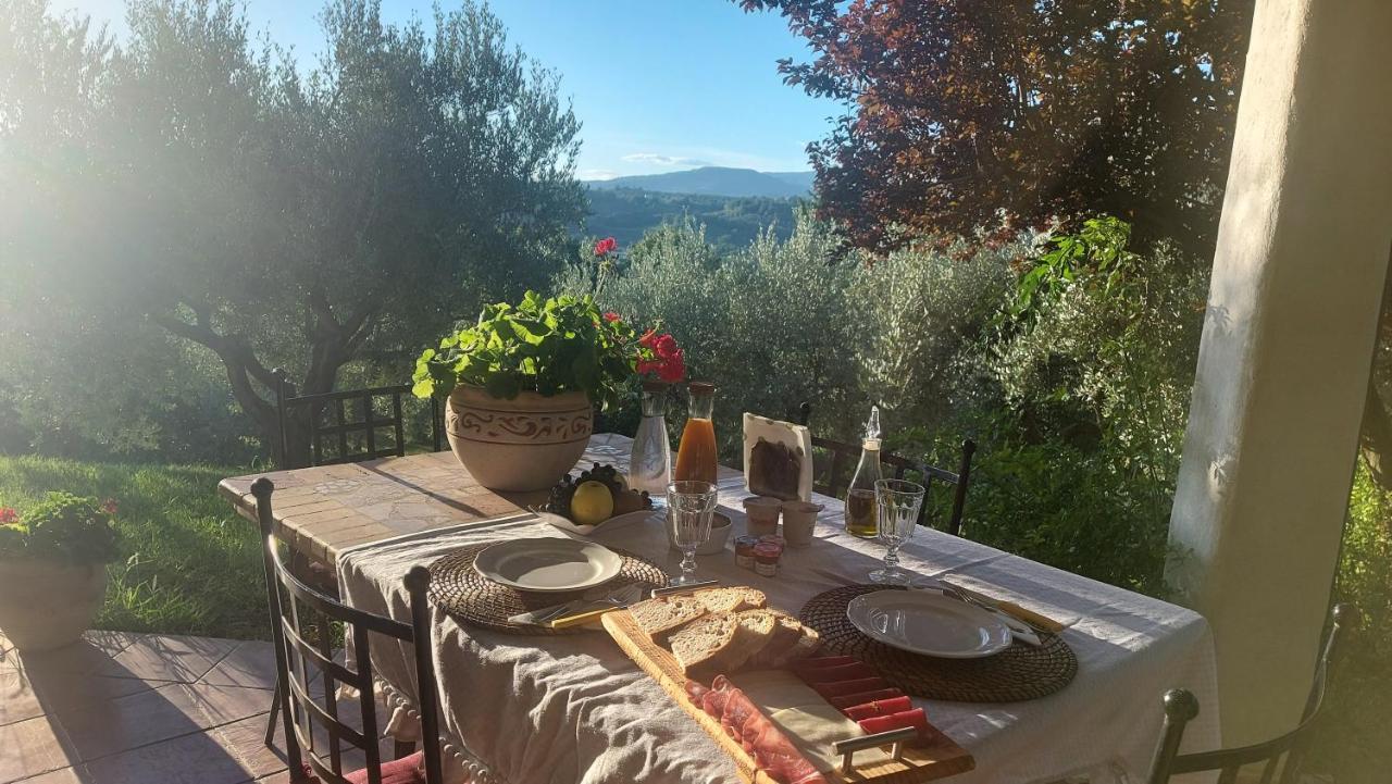 Bed & Breakfast Le Coccinelle Bed and Breakfast Rosciano  Eksteriør billede