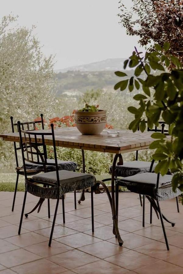 Bed & Breakfast Le Coccinelle Bed and Breakfast Rosciano  Eksteriør billede